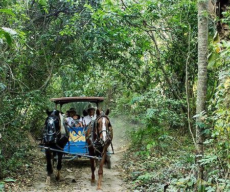 Guembe Biocentro & Resort サンタ・クルス・デ・ラ・シエラ エクステリア 写真